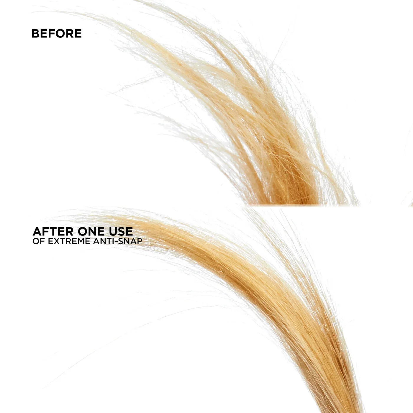 bondingredken.us.com