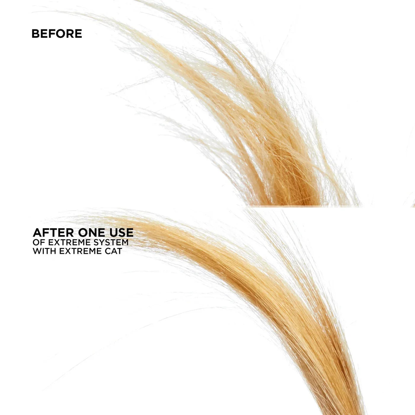 bondingredken.us.com